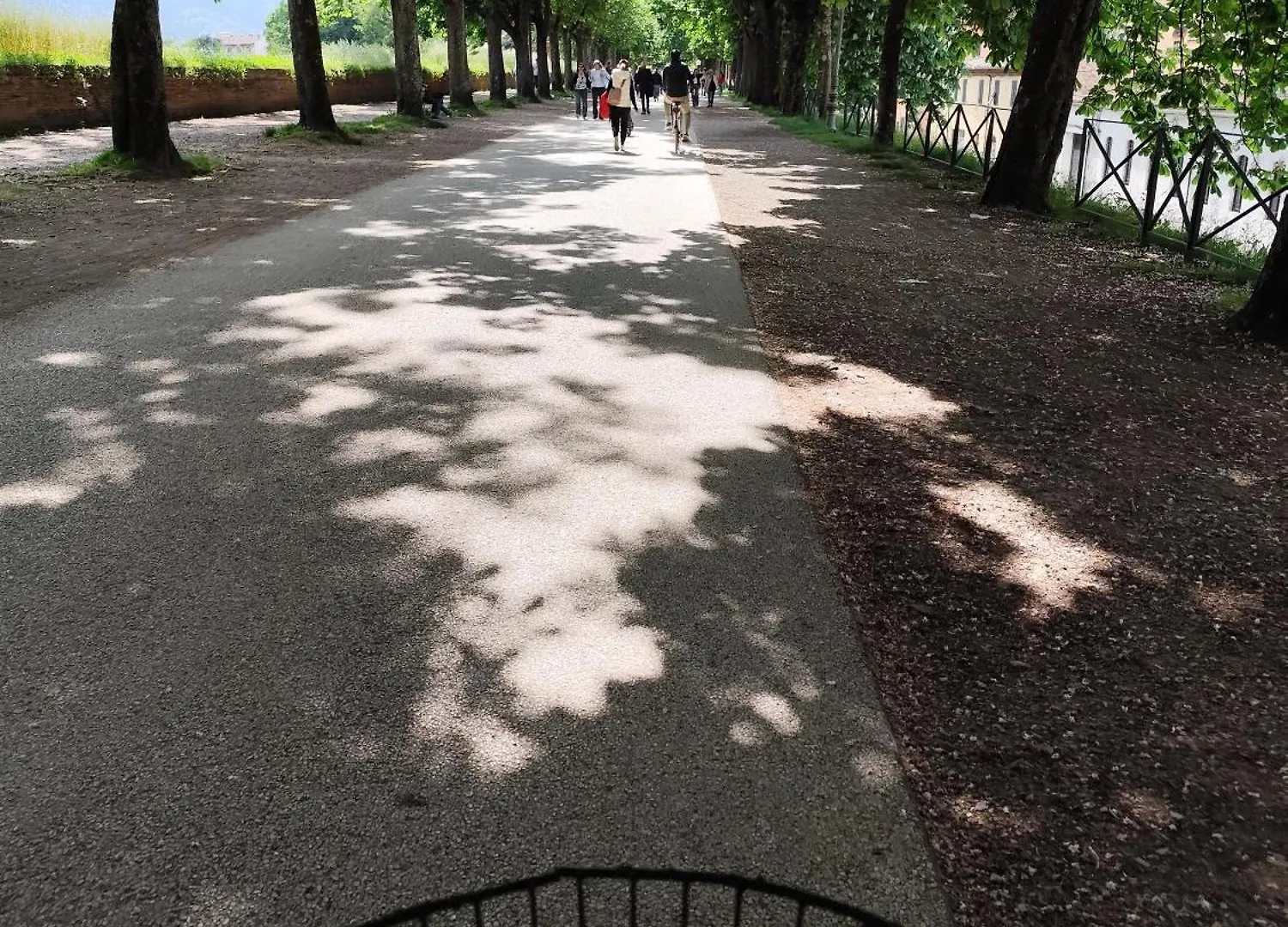 Casa Rosina + Box Per Auto 2 Bici 1,5Km Dalle Mura Lucca